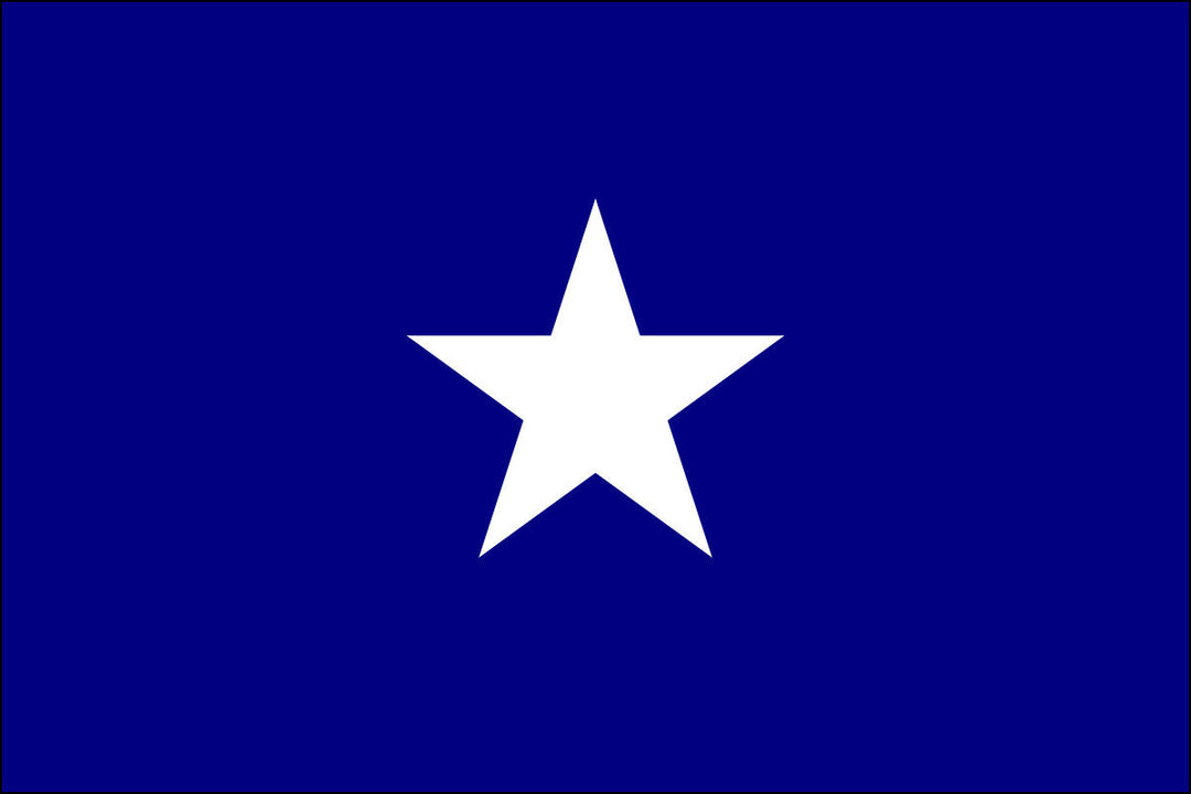 1861 Bonnie Blue Flag: Design and History of the Lone Star of Secession