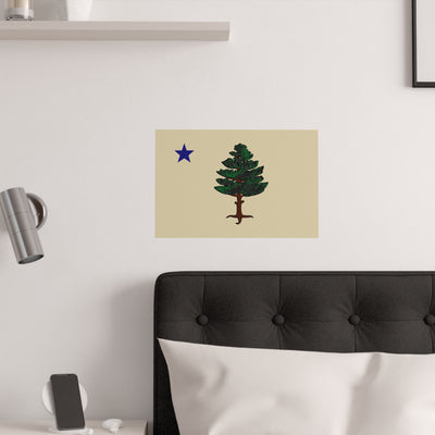 Maine State Flag (1901–1909)