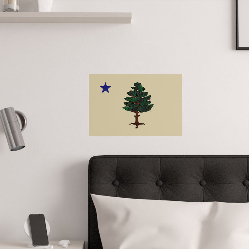 Maine State Flag (1901–1909)