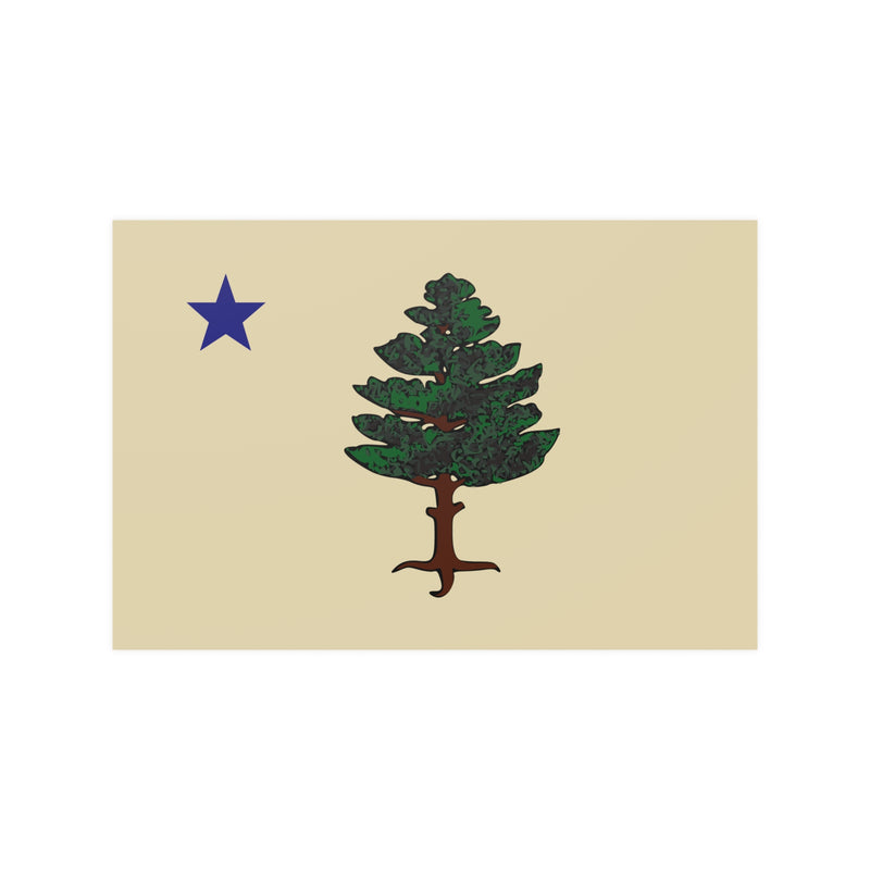 Maine State Flag (1901–1909)