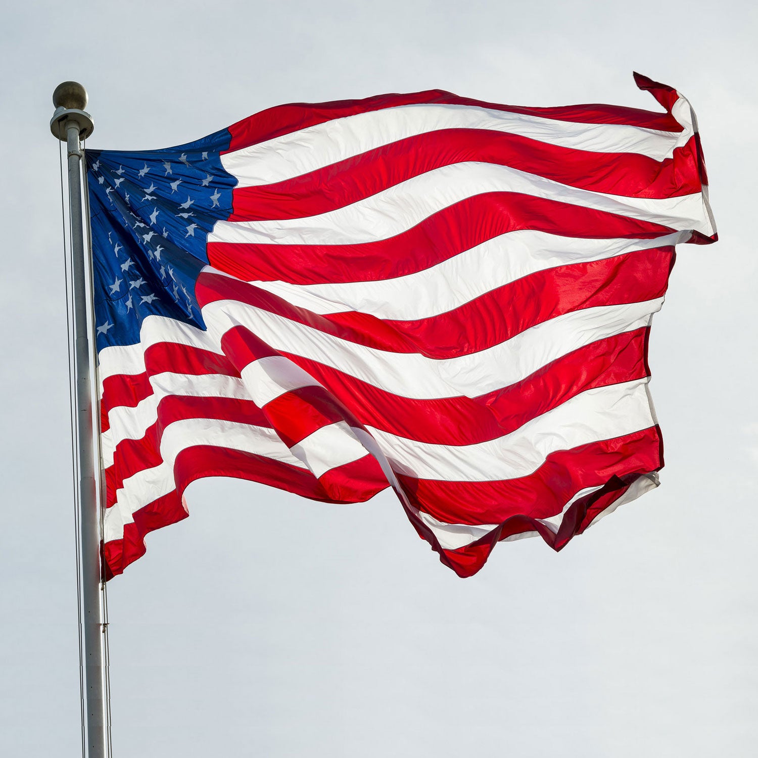 Stars, Stripes, and Bestsellers: Unveiling the Finest from USA