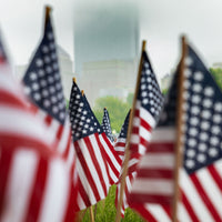 Stick Flags by USA Flag Co.