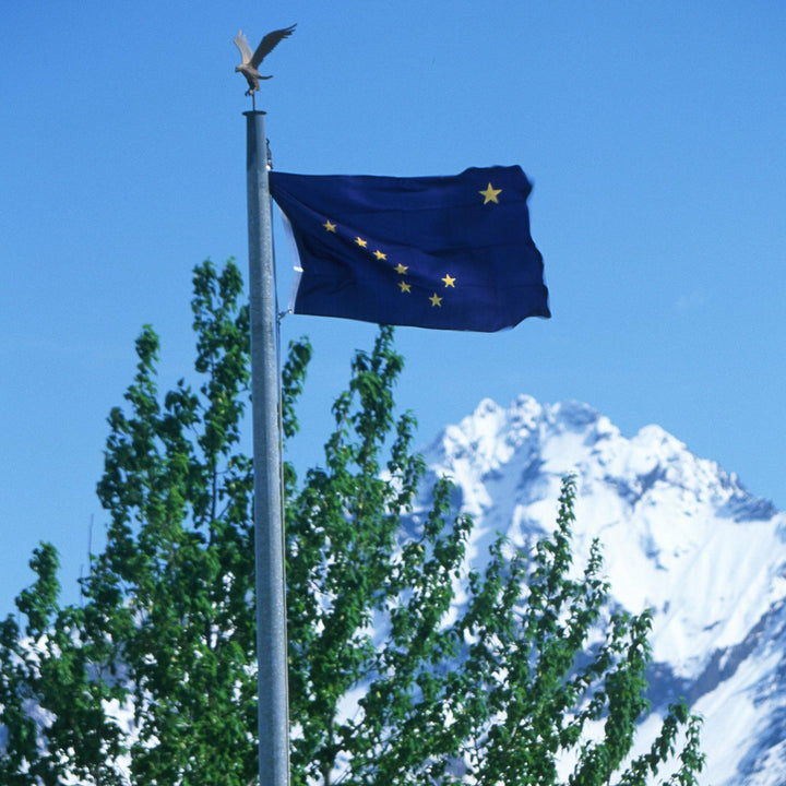 Alaska State Flags by USA Flag Co.