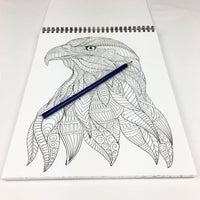 AMERICA Adult Coloring Book - USA Flag Co.