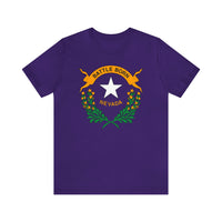 Nevada State Flag T Shirt: Bella + Canvas 3001