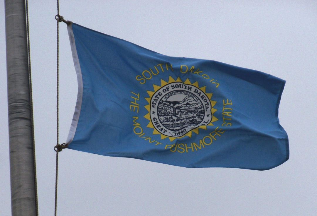 South Dakota Flag - USA Flag Co.